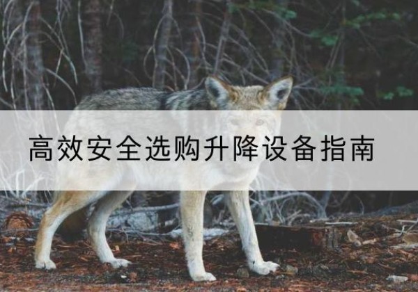 平和升降货梯厂家推荐-*安全选购升降设备指南