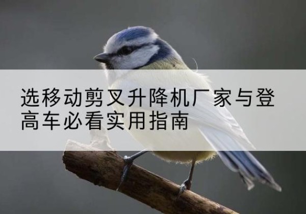 平和电动升降机厂家-选移动剪叉升降机厂家与登高车必看实用指南