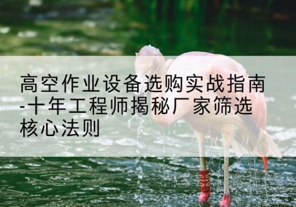平和剪叉式升降机厂家-高空作业设备选购实战指南-十年工程师揭秘厂家筛选核心法则
